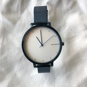 Skagen Blue IP Hagen Mesh Watch